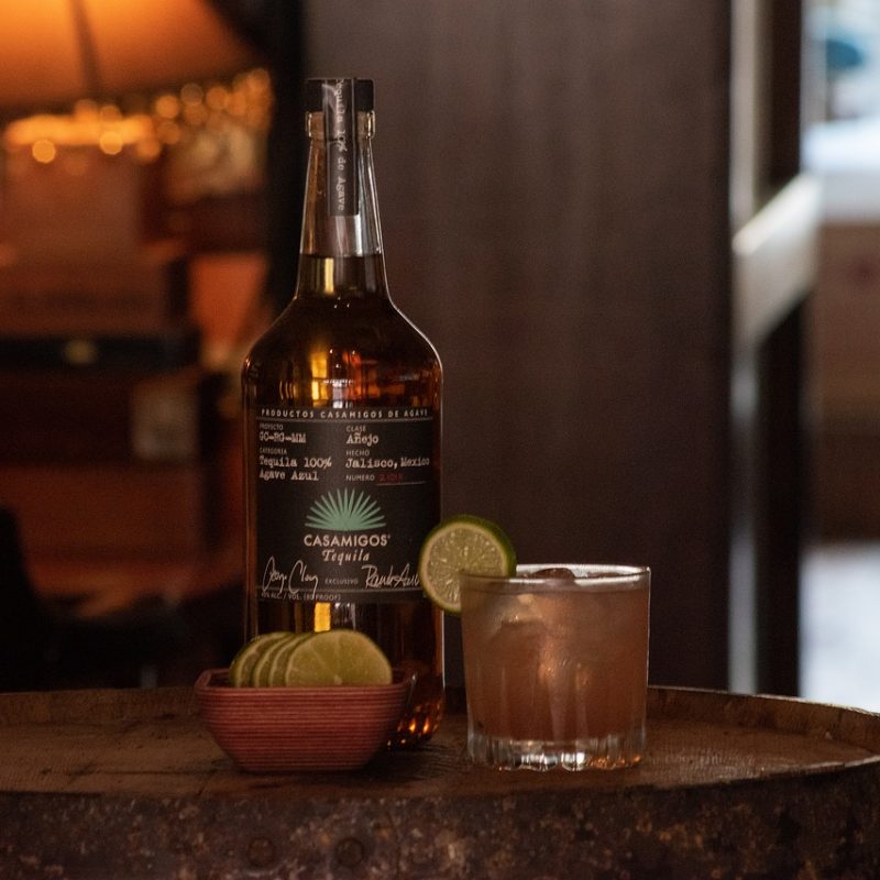 agave-negro-4335309_1280